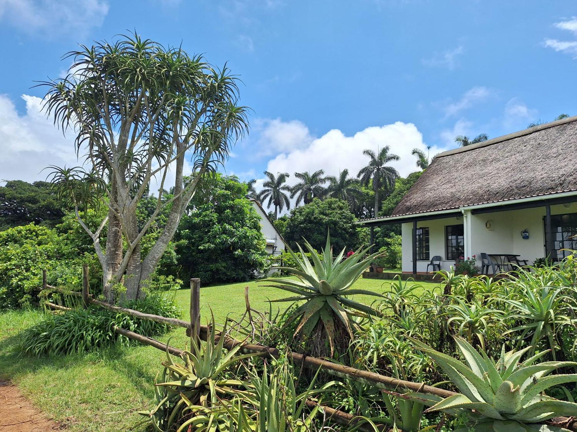 Mabuda Guest Farm Siteki Exterior foto